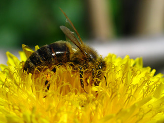 Similar image 171192