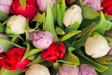 Similar image 171196