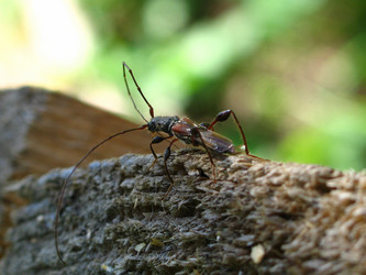 Similar image 171205