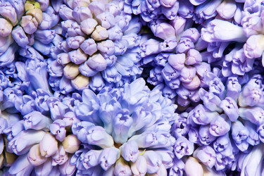 Similar image 171206