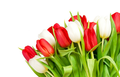 Similar image 171208