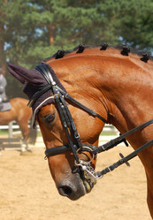 Similar image 171213