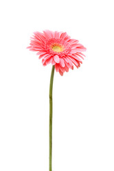 Similar image 171215