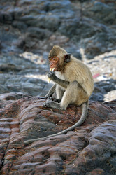 Similar image 171220