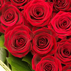 Similar image 171235