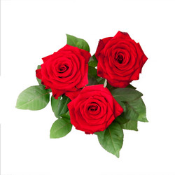 Similar image 171242