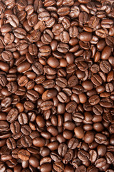 Similar image 171246