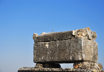 Similar image 171266