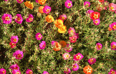 Similar image 171267