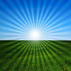 Similar image 171269