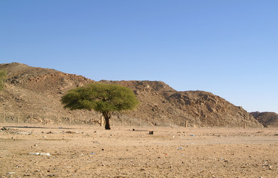 Similar image 171271