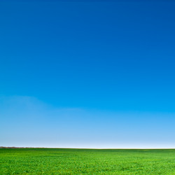 Similar image 171272