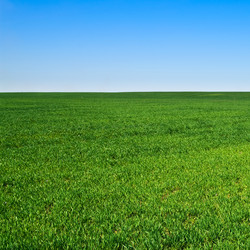 Similar image 171273