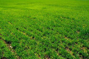 Similar image 171281