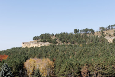 Similar image 171284