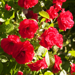 Similar image 171289