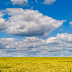 Similar image 171297