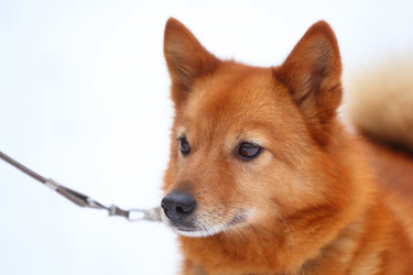 Similar image 171324