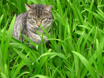 Similar image 171377