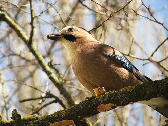 Similar image 171393