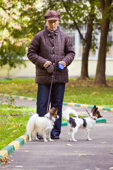 Similar image 171401