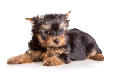 Similar image 171403