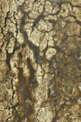 Similar image 171444