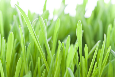 Similar image 171466