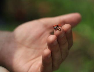 Similar image 171477