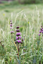 Similar image 171498