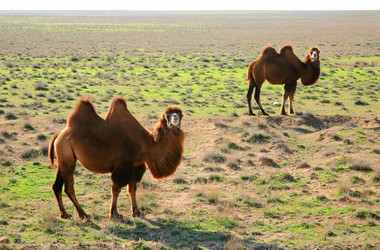 Similar image 171512