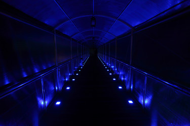 Similar image 171519