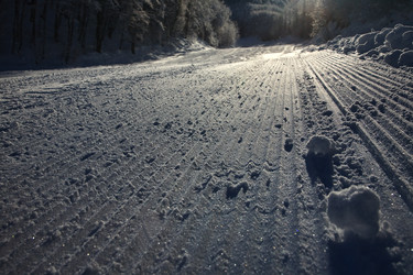 Similar image 171523