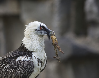 Similar image 171562