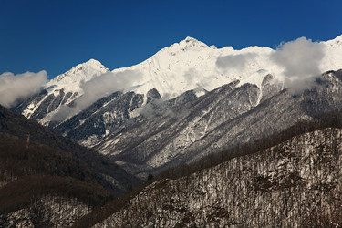 Similar image 171644