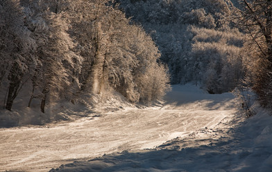 Similar image 171649