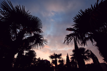 Similar image 171652