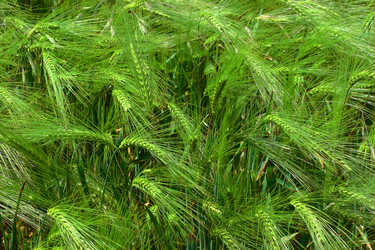 Similar image 171654