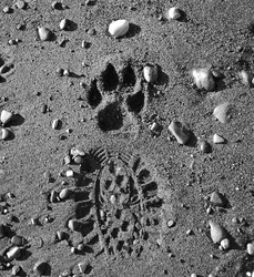 Similar image 171663