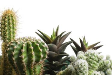 Similar image 171687