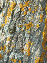 Similar image 171689