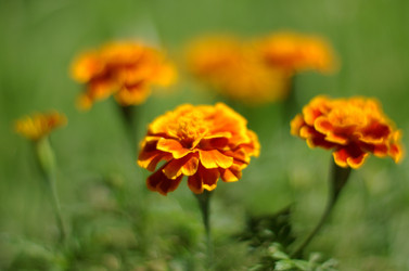 Similar image 171698