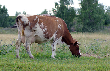 Similar image 171708