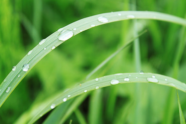 Similar image 171722