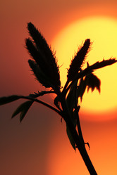 Similar image 171727