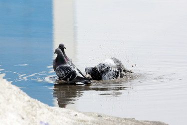 Similar image 171820