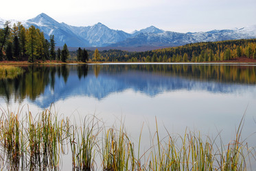 Similar image 171856