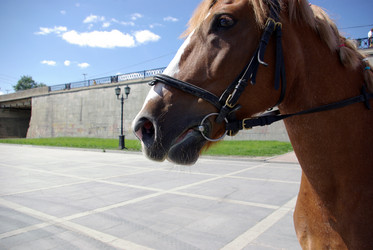 Similar image 171868