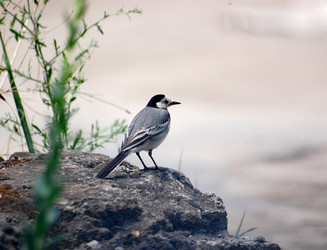 Similar image 171883