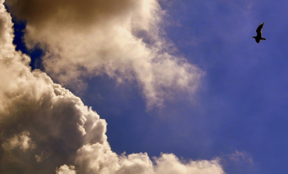 Similar image 171927